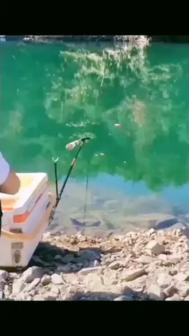 Tầm xanh #câucagiaitri #viral #tiktoktrungQuoc #câucá 