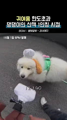 귀여움 한도초과 댕댕이의 산책 1인칭 시점 💿경서예지 - 별빛달빛(6/1 6pm 발매) #경서예지 #별빛달빛 #시크릿 #위로 #사랑 #이별 #감동 #추천노래 #fyp