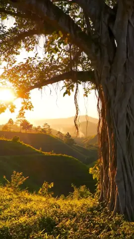 Sunset  #videoviral #ai #aivideo #aiart 