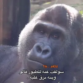 #اكسبلور 