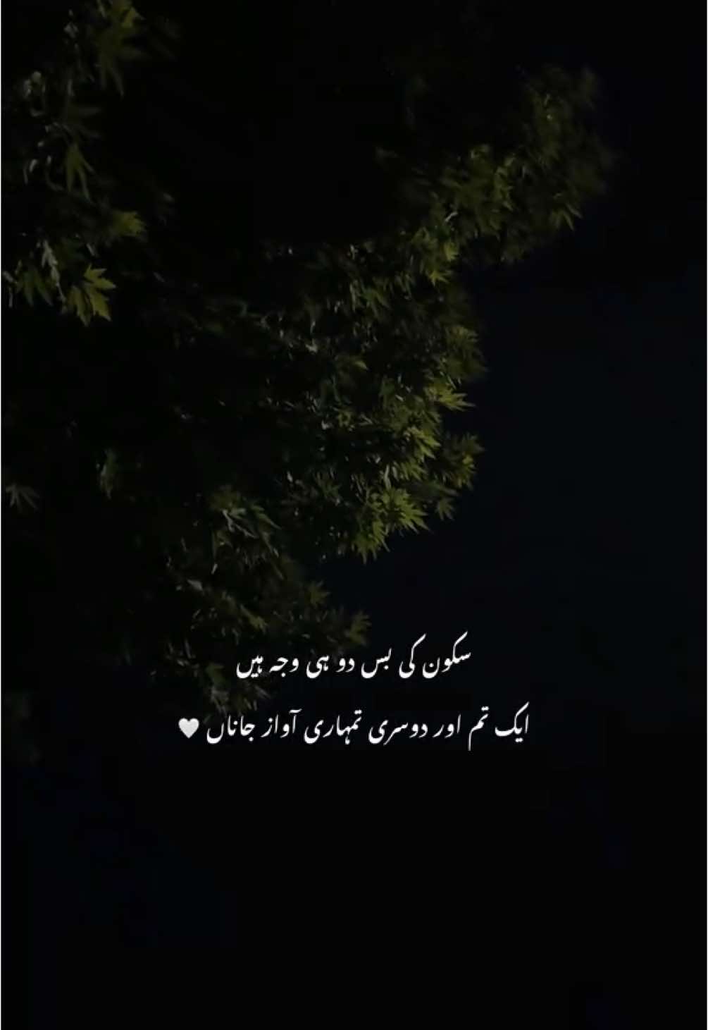 🤍 l #hehe_daniii #fyp #fypツ #foryouu #foryoupage #sad #sadshayari #sadpoetry #urdu #urdushayari #urdupoetry 