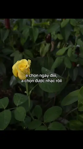 #xh #fyp #viral #ddnxuhuong #GiaKiet👾 