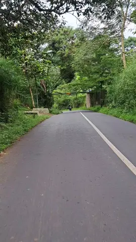 Yang kangen kampung halaman blm bisa pulang,vidio ini bisa untuk mengobati sedikit rasa rindu#ngawi #ngawi24jam #ngawi_ramah #ngrambe #jogorogo #jalan #story #storywa #masukberanda #fyp 
