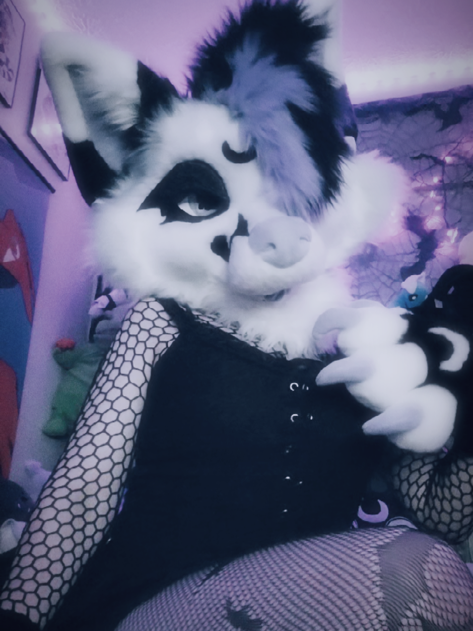 New Suit, who dis? 🖤💜🦇 #fursuiting #fursuiter #furries #fursuit #furry #gothfurry 