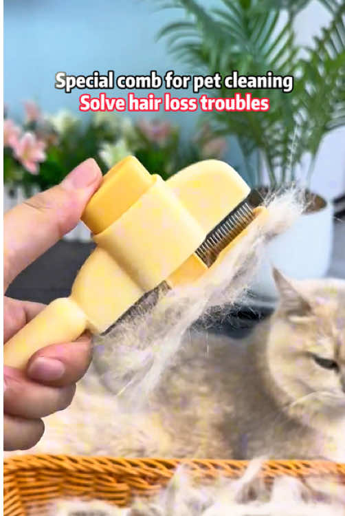 Two-piece comb for pet cleaning can solve the problem of cats and dogs' hair loss, and can also clean dirty things and small insects on the skin. Kittens enjoy it. #Petsupplies#Petcomb#Kitten#Puppy#Essentialsforpets#Pet#Recommendationofgoodthings#comb#Kittencleaning#Cathair#Doghair#tiktok #TikTokShop#fyp#2025