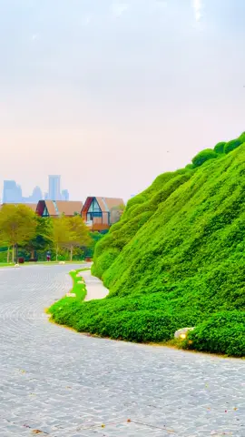 #sakoon🥰 #qatar🇶🇦 #sheratonhotel #corniche #lovestory #kataraqatar🇶🇦 