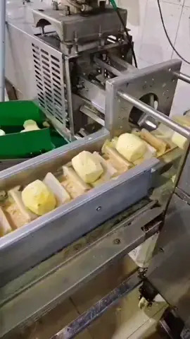 Pineapple Processing GOES BRRRRR! 🍍💨 3600/Hour! #automation #foodtechCaption:Watch our pineapple decoring & slicing machine in action! 🤯 3600 pineapples per hour!  That's insane efficiency!  Perfect for food businesses.  #pineapple #foodprocessing #machine #highspeed #satisfying #industry #factory #kitchen #fruit #slicer #decore #automation #pineappleslicer