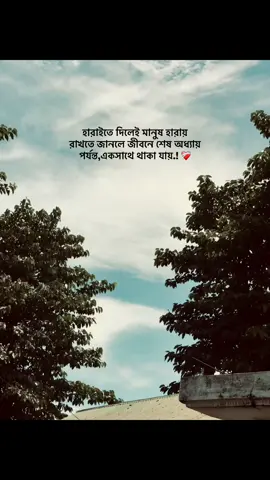 হারাইতে দিলেই মানুষ হারায় রাখতে জানলে জীবনে শেষ অধ্যায়  পর্যন্ত,একসাথে থাকা যায়.! ❤️‍🩹 #1m #frouyoupage #azadbhaiya #dagonbhuiyan33 