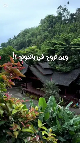 وين تروح في باندونج ؟ Dusun Bambu بركان تانكوبان براهو شياتر هوت سبرينق مزرعة الفراولة Farm House Lembang #باندونق #اندونسيا🇲🇨 #سياحة #سفر #travel #tiktokvlog #tiktoktravel #طيران #indonesia #السعودية