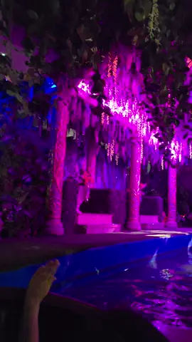 Full Tata world river #vinwonders #vinwondersnhatrang #nhatrangbay 