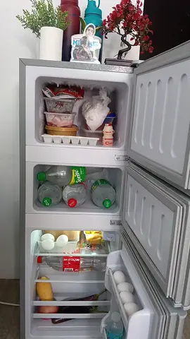 Home Fun Mini Refrigerator! #minirefrigrator #homefun #refrigerator #3doors 