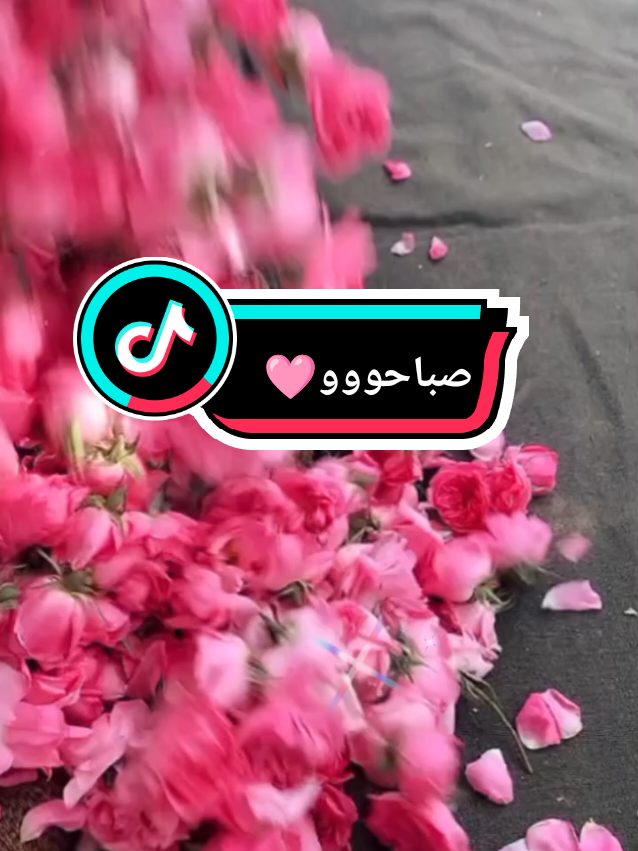 #صباحوو #صباحوووو_عسل #صباح_الخير #صباحكم_أحلى_صباح #صباح_الورد #صباحكم_سعادة_لاتنتهي #اكسبلور #fyp #foryoupage❤️❤️ #pourtoi #goodmorning #explore #viralvideos #tik_tok #views #☕ #❤️ #🌹🌹🌹🌹🌹🌹🌹🌹🌹🌹🌹🌹 