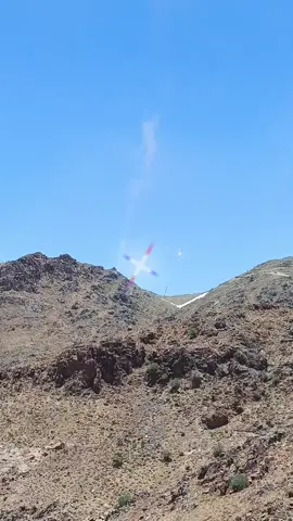#امين 