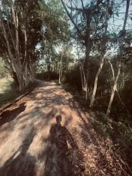 Về làm chuyến nữa @Minh Đạt🌄 @Hoàng Tuấn @Lực Hoàng ##xuhuong 