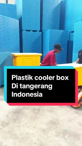 Cooler box yang Ada di pabrik Kami Jika Anda membutuhkan Silahkan hubungi Kami Terima kasih#plastic #factory #indonesia🇮🇩 #plasticpallet 