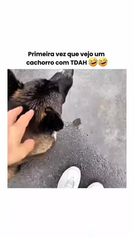Essa música nova do @Guilherme e Benuto  foi lançada em áudio 9D no Spotify. Gente, que surreal ouvir essa música no Spotify, vcs já ouviram?😍 @hypex.cortes  #cortesguilhermeebenuto #hypexcortes #humor #viralditiktok #musica 