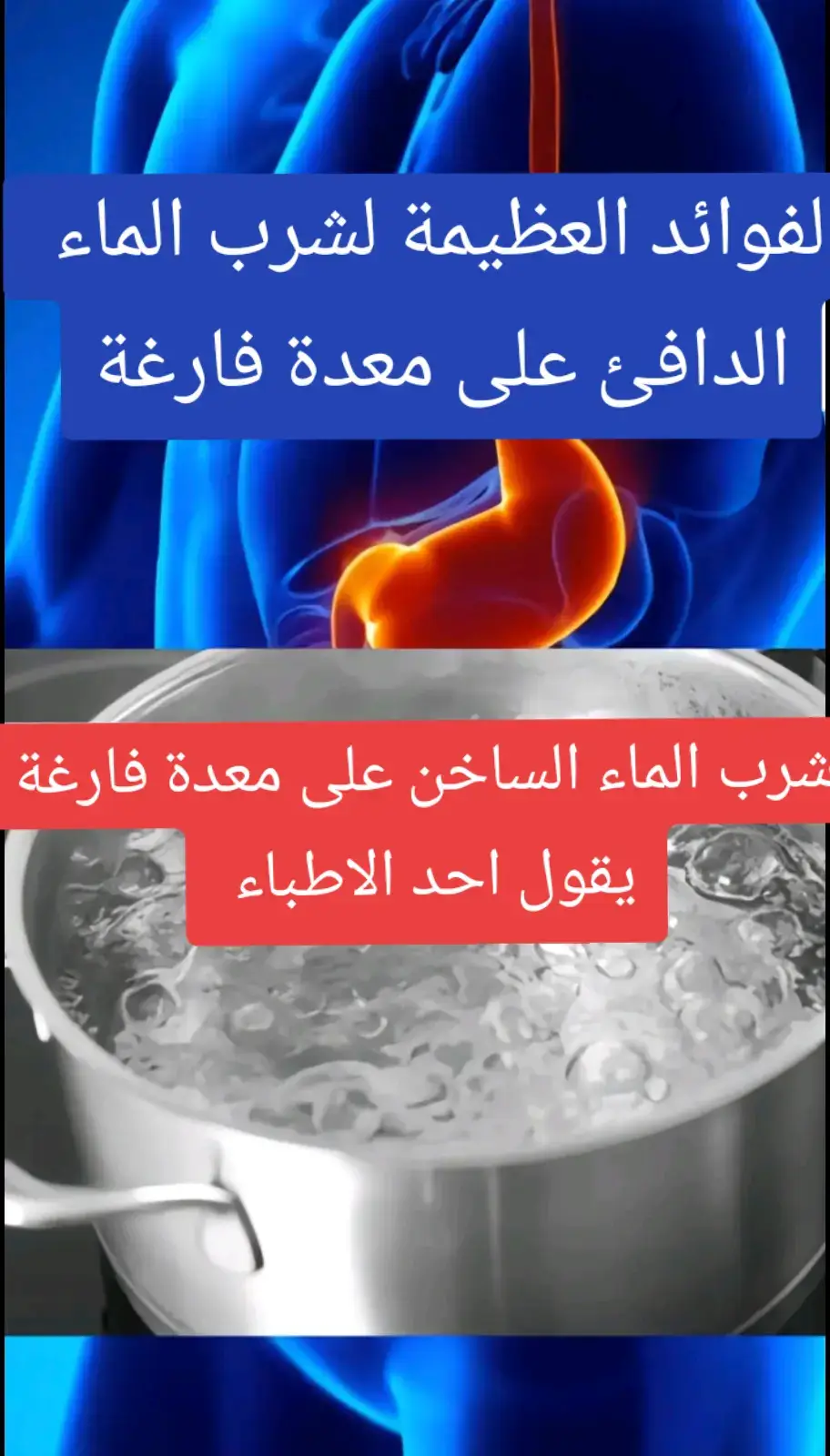 #فوائد #صحية #معلومات #حقائق #التغذية_الصحية #تغذية #طبيب #تك_توك_عرب #عرب #اكسبلور #المغرب🇲🇦تونس🇹🇳الجزائر🇩🇿ليبيا🇱🇾 #الجاليةالمغربية #france #الشعب_الصيني_ماله_حل😂🤣اكسبلور 