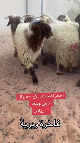 #توصيل _لكافة _الرياص# #ترند #الرياض#اكسبلورررر #ترند #مكة #مشاهير_تيك_توك #ذبايح #عروض#الحري# ذبايح #نعيمي #حركة_إكسبلور #هشتاق #السعودية #اكسبلور_تيك_توك مشاهير _تيك _تكتيوك#احجز #اضحيتك#يوم #عرفه #خروف_العيد #ترند #مشاهير_تيك_توك #🐏🦙حراج #اكسبلور_تيك_توك #عيد #الاضحه#اكسبلور؟ 