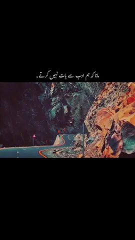 Ham adab say bat ni karty 😌 #urdupoetry #fypシ #zubivibes #1millionaudition 