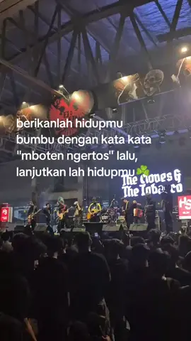 ☘️. #theclovesandthetobbaco #celticpunk #foryoupage 