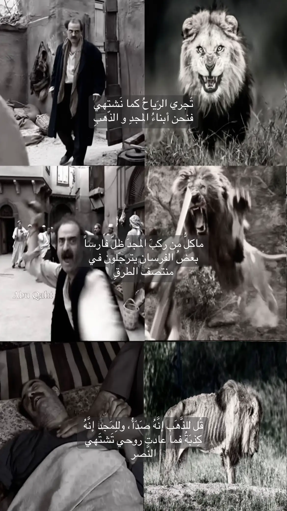 #viral #fyp #explore #الادعشري #باب_الحارة #تيم_العم_زيزو 