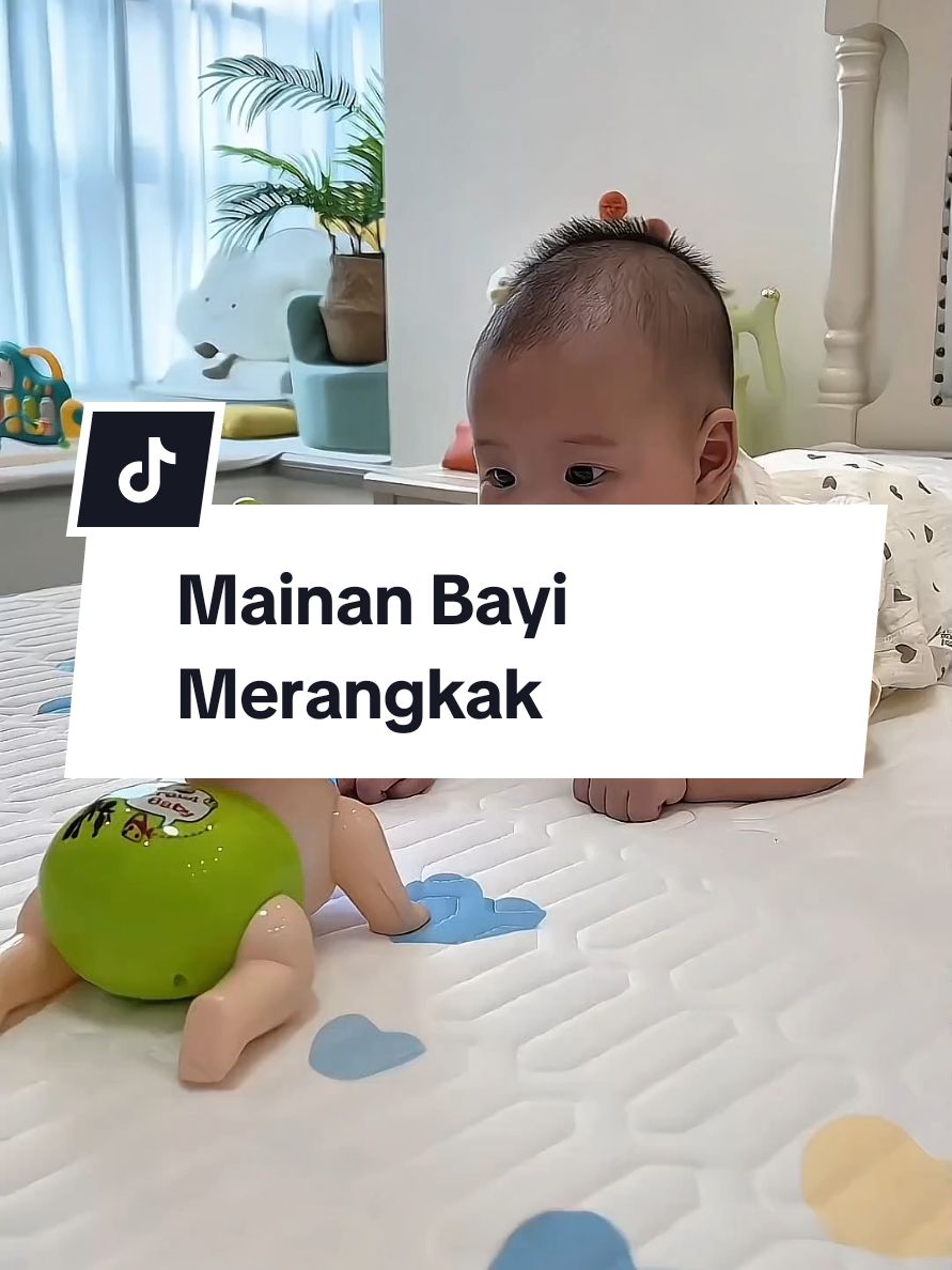 Mainan Bayi Viral! Boneka Merangkak Lucu & Bikin Bayi Ketawa – Wajib Punya Moms! #mainanbayi #bonekabayi #mainanedukasi #bonekamerangkak #babytoys #mainananak #tiktokaffiliatemurah #rekomendasimainan #viraltoy #mainanviral2025 #mainanbayilucu #tiktokshopindonesia 
