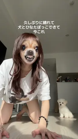 曇りばっかじゃん‼️普通にもっと晴れてくれ