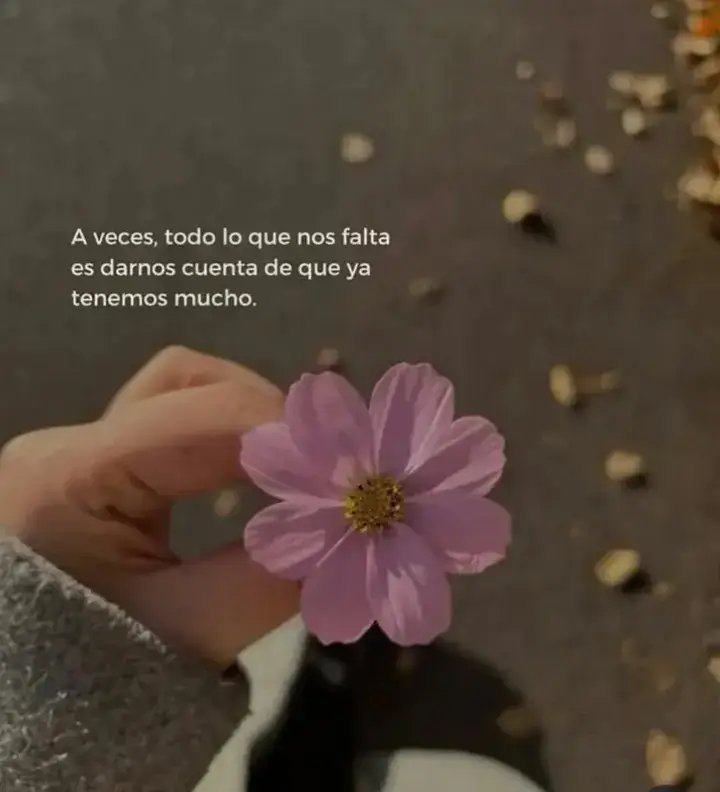 #limonar #greicy #vidapositiva #frasesbonitas💗 #paratii #fipシ 