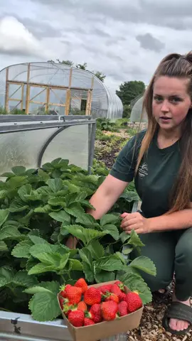 Strawberries with a few critters? That’s nature. Strawberries sprayed with chemicals? That’s the real problem.