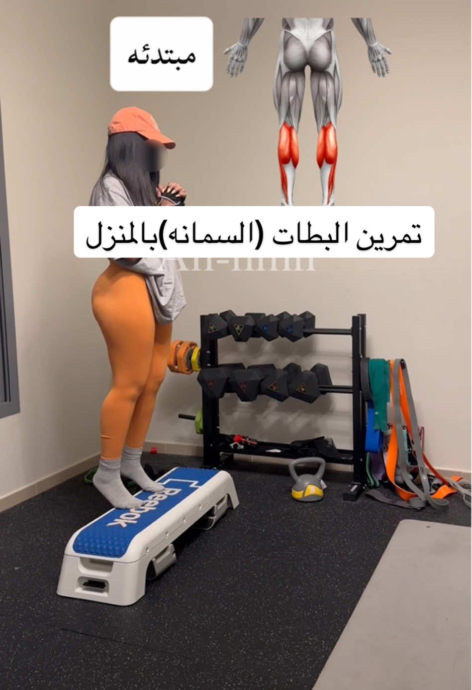 عضلة السمانة من العضلات المهمه الي تساعدك على الثبات والتحمل اثبتت الدراسات إن من جلسه واحده لتمرين عضلة السمانه  ممكن ان تقلل نسبة الجلوكوز بالدم بنسبة ٥٢٪؜ وتظهر الدراسة إن التمرين قلل إيضاً من كمية الأنسولين التي يطلقها البنكرياس بنسبة ٦٠٪؜ ٤جولات-١٥تكرار #gymmotivation #تمارين_نحت_الجسم #بطات #السمانه #عضلات #تمارين_منزلية #تمرين_اليوم #تمارين_رياضية #تمارين_نسائية #تمارين_رياضيه #رياضة_نسائية #رياضة_تحفيز #رياضة_كمال_اجسام #leg #legday #workoutmotivation 