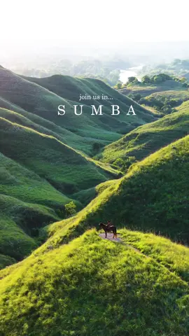 Selamat datang di Sumba, savana hijau siap menyambutmu! 🌿✨ Nikmati hamparan savana yang luas dan hijau, udara segar, serta keindahan alam yang menenangkan hati. Sumba adalah destinasi sempurna buat kamu yang ingin petualangan penuh warna dan kedamaian! 🌾🌅 Yuk, jelajahi keindahan Sumba bersama Indonesia Juara Trip! 🚀👇 📲 Info & booking: +6281128911991 (CS 1) +628119941919 (CS 2) ✉️ sales@indonesiajuara.asia 🌍 indonesiajuara.asia #indonesiajuaratrip #sumba #exploresumba #natureparadise #travelindonesia #savanahijau