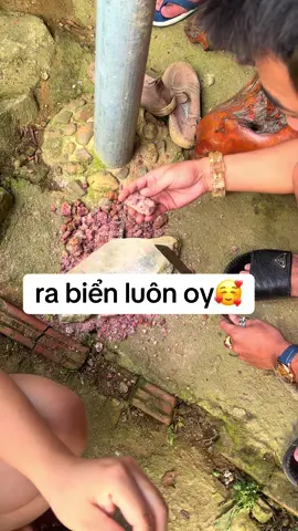 ae chặt vào tay oy