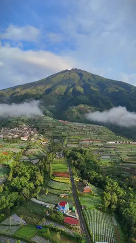 Tempat asik buat hiling🍃 - #alam #sumbingmountain #magelang #natural #soundviral #fyp 