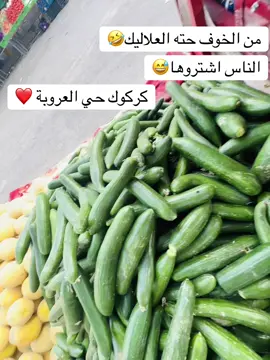 #كركوك_حي_العروبه #بنات_تيك_توك #حي_العروبه #karkuk #Biscoitocut 