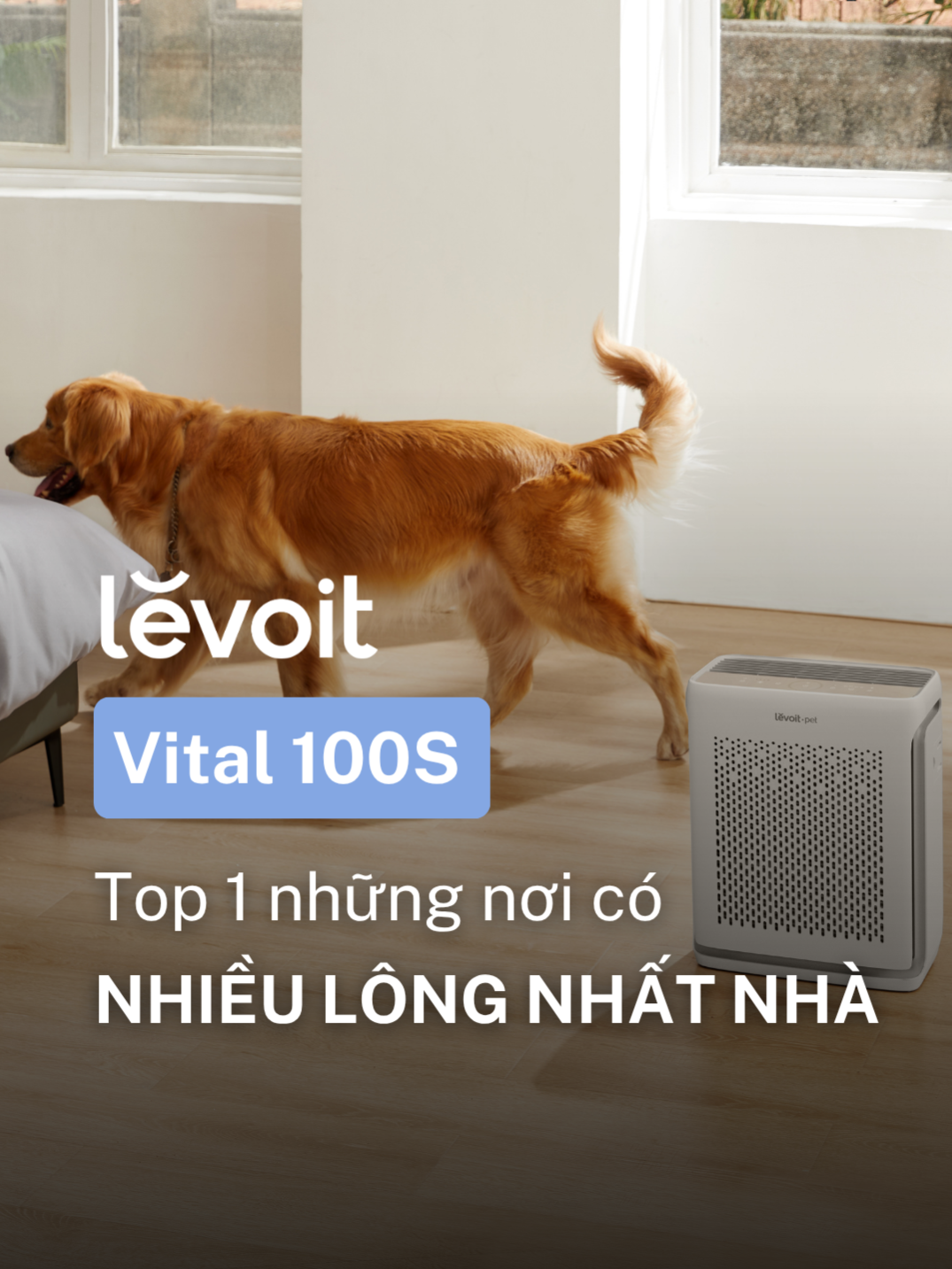 Phát hiện tụ điểm lông lá, bụi mịn tồn đọng trong nhà #tiktok #viral #fyp #airpurifier #levoitvietnam #Levoit #petlover #vital100S #chomeo