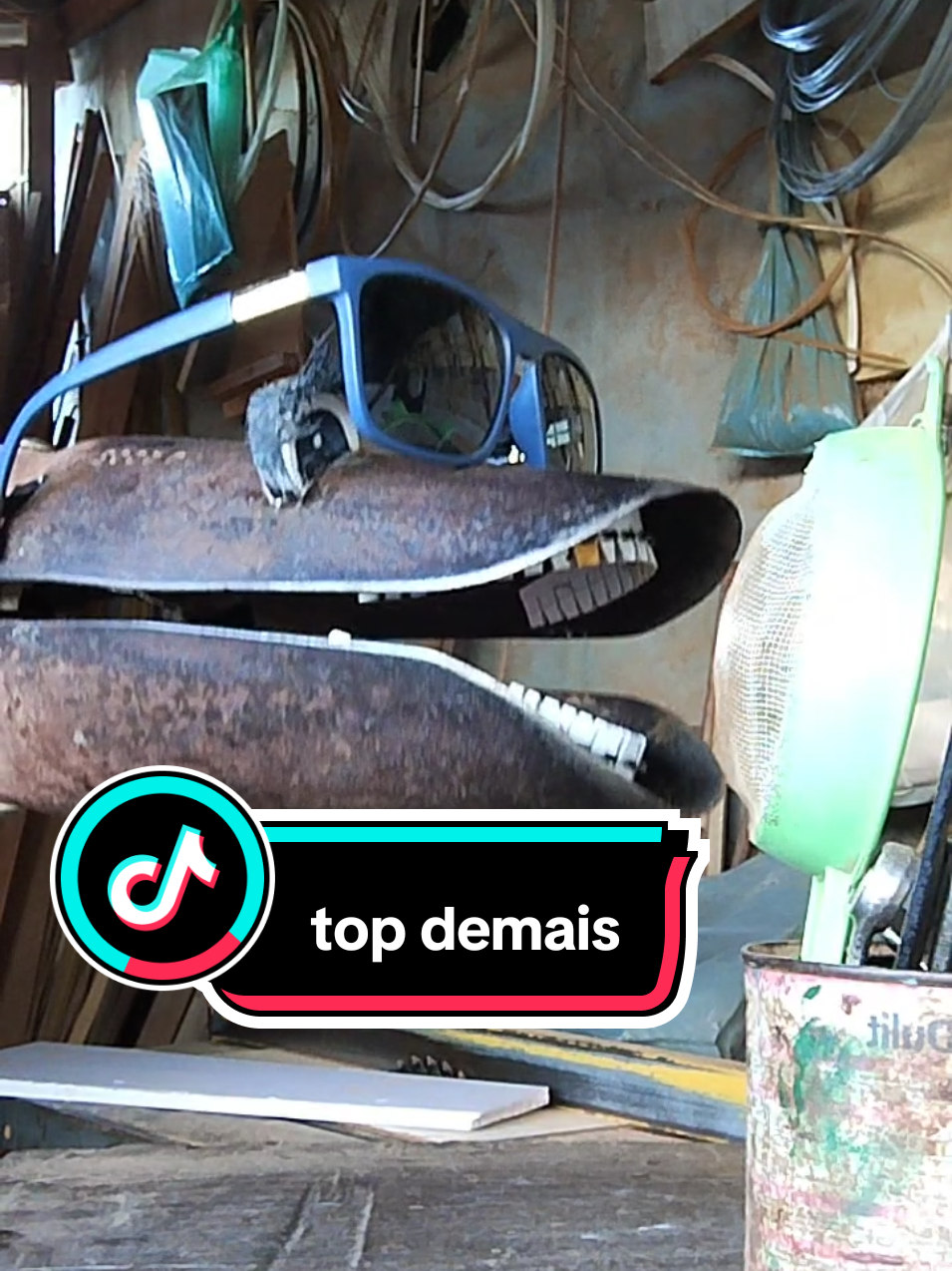 cavadeira cantora #cavadeira #ferramenta #dublagem 