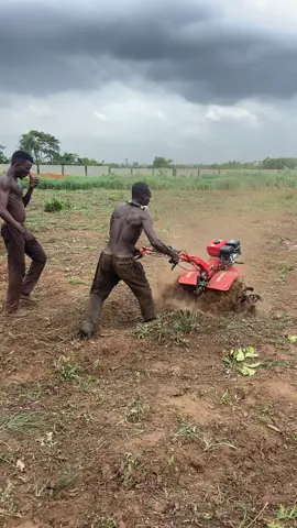 Men at work 🫡✅…..Still on section B tomatoe land preparation #farmlife #moneygrowsontrees #fyp 
