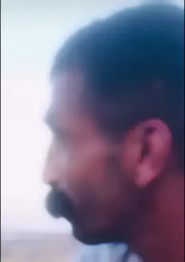 miiiyaww #asmr #asmrsounds #funnyvideos #fun #funnylaugh #viral 