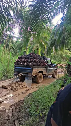 #tukanglangsirbuahsawit #mobilhelen4x4 
