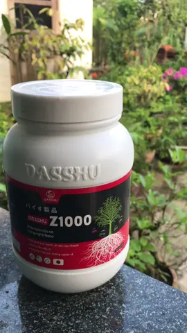 Siêu phẩm dassu z1000 hân bón dưỡng chất cho cây#CapCut #treadning🔥😎 #xuhuongtiktok #xuhuong2025🥰 #kimngandungthat 