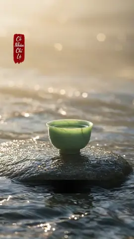 Hãy nhớ kỹ một điều: đường phải tự mình đi. Nếu người khác nói bạn vài câu mà bạn đã không chịu nổi, bị vài lời nói làm phiền đến ăn không ngon, ngủ không yên, bạn thử nghĩ xem mình yếu đuối đến mức nào. Cần gì phải tính toán so đo? #conhanchilo #trietlycuocsong #baihoccuocsong #TrietLySong #giacngo