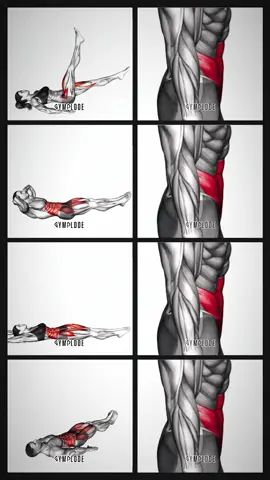 Lower Abs Workout for Men & Women 1️⃣ Alternate Leg Raise 2️⃣ Alternate Leg Raise with Head-up 3️⃣ Alternate Leg Reach Crunch 4️⃣ Lying Floor Leg Raise with Hip-up #Fitness #gym #bellyfat #exercise #fitnesstips #6pack #coreworkout #fatburn #slimbody #flatstomach #gymplode #fyp #foryoupage❤️❤️