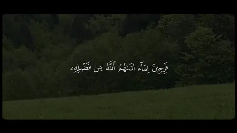 المنشاوي 🎧😴#منشاوي #صدقه_جاريه #اللهم_صلي_على_نبينا_محمد 