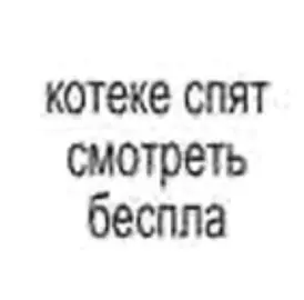 #котеки #спят 