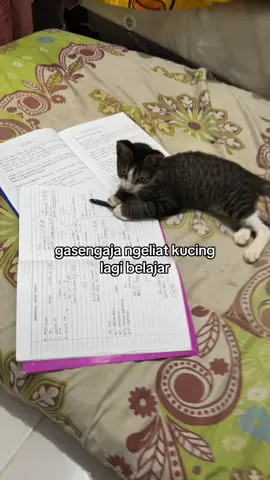 #treand #foryoupage #jj #fypage #jokes #fyp #kucinglucu #kucinggemes #anabul 