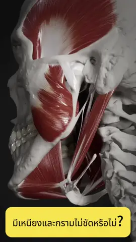 ขจัดความวิตกกังวลและเริ่มสวยงาม#ชุดฟิตเนสผู้หญิง #tiktoksports #ปั้นหุ่น #ออกกําลังกายที่บ้าน #ร่างกายที่สมบูรณ์แบบ #เทรนเนอร์ #health #กลายเป็นสวย #ลดหุ่น #อาหารอร่อย #ลดความอ้วน #เทรนด์วันนี้tiktok #gourmetfoods #beauty #แฟชั่น #พยุงหลัง #คนหลังค่อม #รับส่วนลด50 