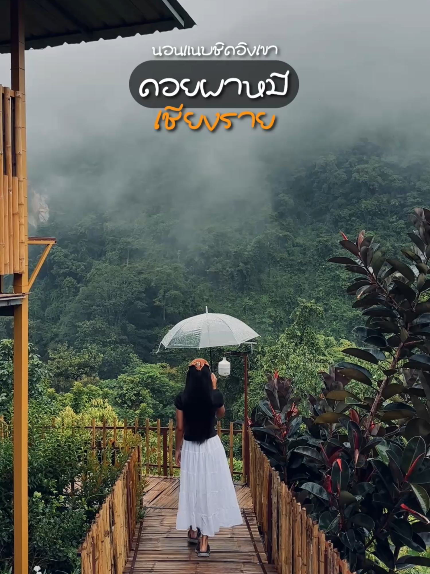 ม่านฟ้าโฮมสเตย์ ที่พักบน #ดอยผาหมี #เชียงราย  ที่พักวิวสวย บรรยากาศดี #แดดลมฝน