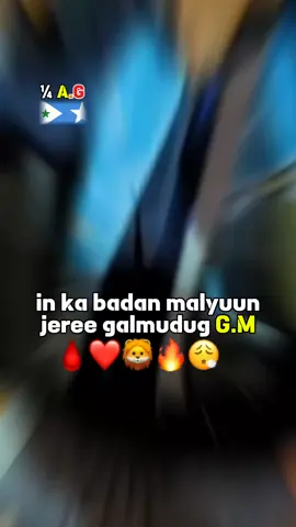 #cidda xamasada wey bilabate dabal dagooda😍😂🩸#galmudugnimo💚💙🤍sacadnimo #vir #vie #galmudugnimo💚💙🤍sacadnimo #vieshows_official 
