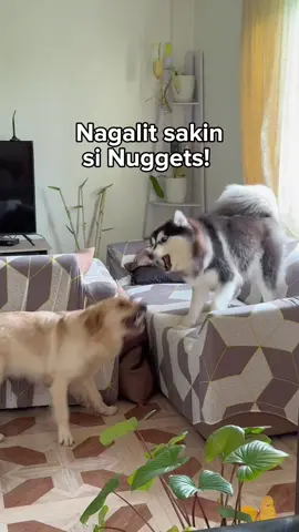 Solution sa di naliligo ay ipisik sa buong katawan ang pabango. 😆 Bili na kayo. 😘  #shilohandliora 
