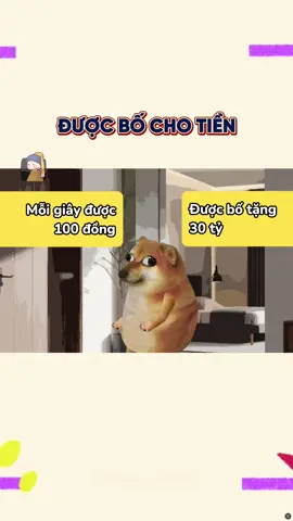 Được bố cho tiền #cheemsnhanvan 